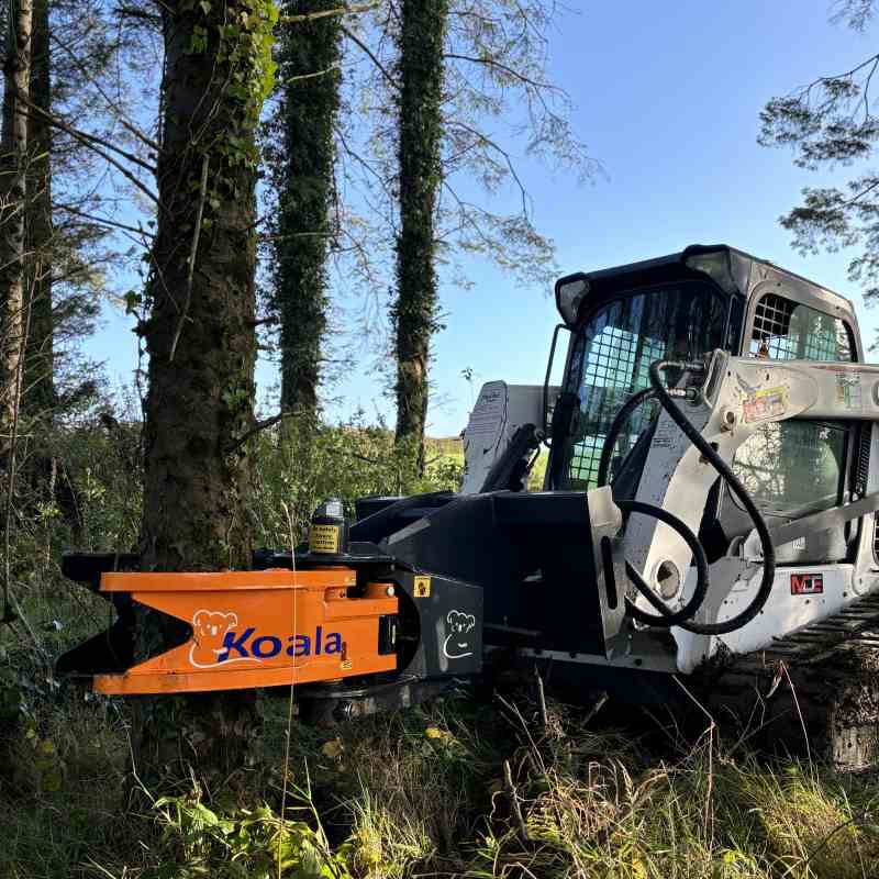 koala fældegrab bobcat